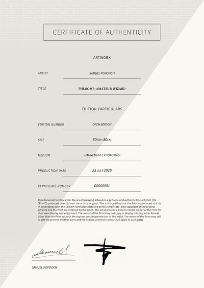 Phloomp, Amateur Wizard — Certificate of Authenticity